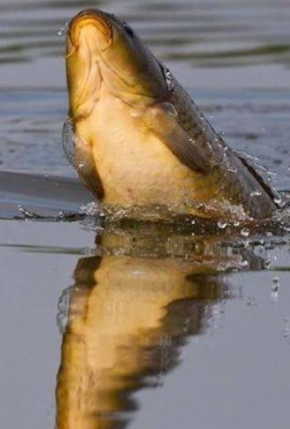 diverse - ghndfhd.jpg